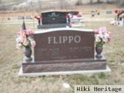 James Allen Flippo