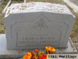 Ervin August Nester