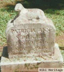 Patricia Ann Schlicher