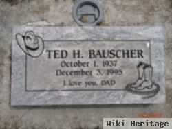 Ted H Bauscher