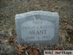 Sharon Arant