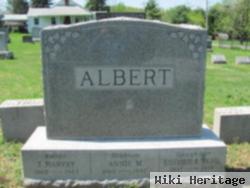 Jacob Harvey Albert