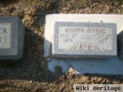 Kenneth N Herring