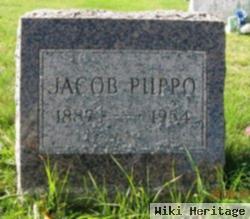 Jacob Piippo