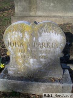 John A. Parkins