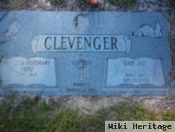 Gary J Clevenger