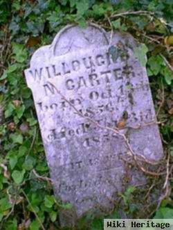 Willoughby N Carter