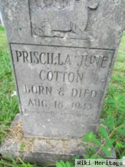 Priscilla Cotton