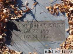 Sara Andrews Wood