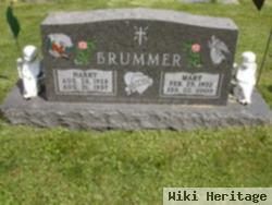 Harry Norbert Brummer