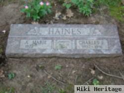 A. Marie Haines