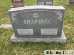 Arthur Shapiro