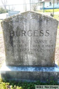 Nannie C. Burgess