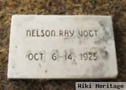 Nelson Ray Vogt