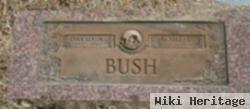 David Ad Bush