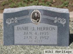 Janie J Herron