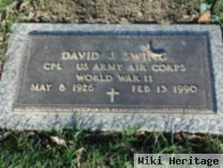 David J Swing