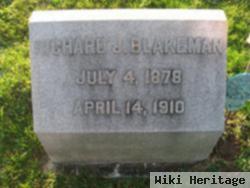 Richard J Blakeman