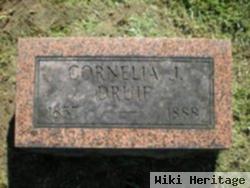 Cornelia J. Druif