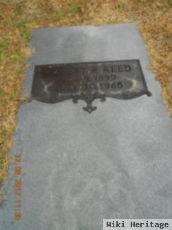 Robert R Reed