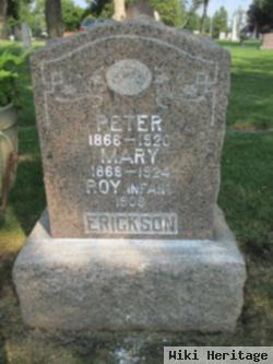 Peter Erickson