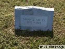 Sarah J Harley