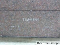 John B Timmins