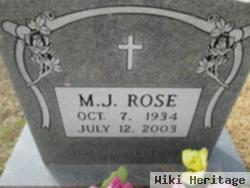 M J Burchell Rose