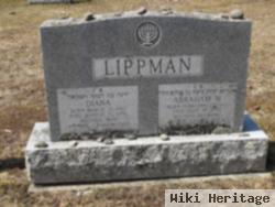 Abraham M Lippman