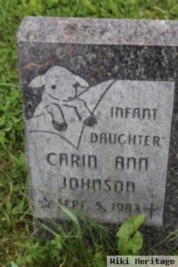 Carin Ann Johnson