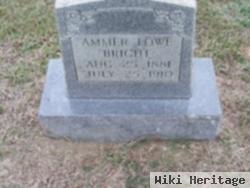 Ammer Lowe Bright