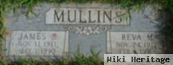 Reva M Mullins