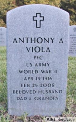 Anthony A Viola