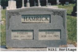 Fidelia S. Dodrill Hamrick