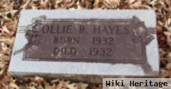 Ollie R Hayes