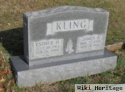 James A Kling