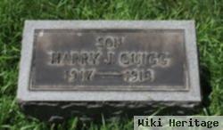 Harry J Quigg