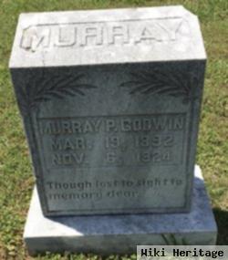 Murray P. Godwin