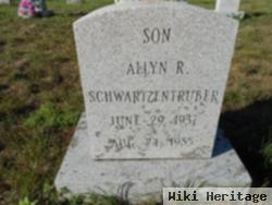 Allyn Schwartzentruber