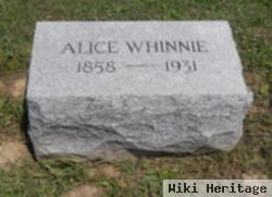 Alice Tate Whinnie