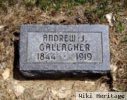 Andrew J Gallagher