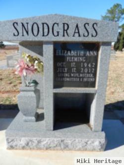 Elizabeth Ann Fleming Snodgrass