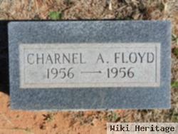 Charnel A Floyd