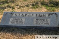 David W Stapleton