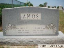 Mary J Stannard Amos