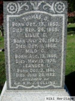 Thomas D Collins