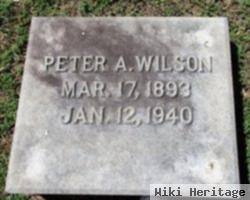 Peter Albert Wilson