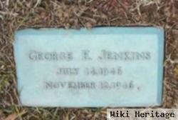 George E. Jenkins