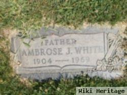 Ambrose J White