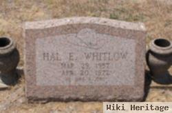 Hal Edward Whitlow